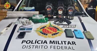 pmdf apreende arma de fogo