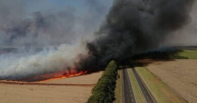 incendio são paulo