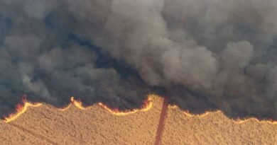 Américo: Comunidade internacional se preocupa com questões climáticas no Brasil