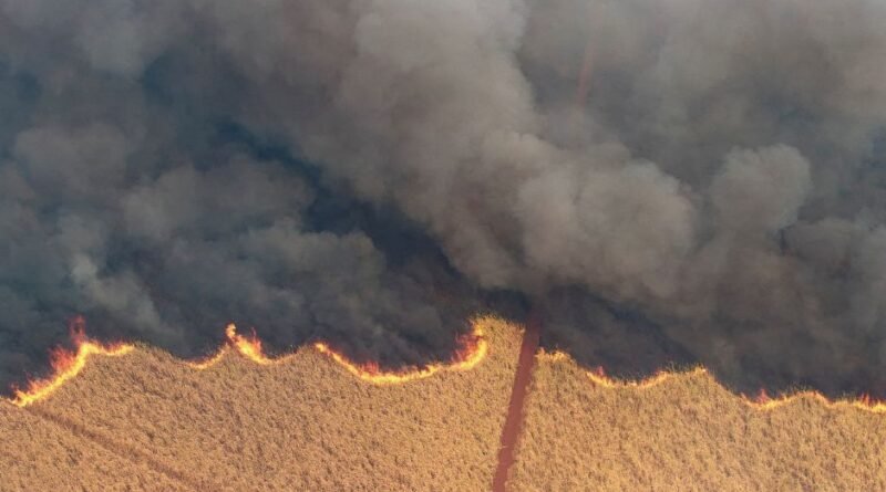 Américo: Comunidade internacional se preocupa com questões climáticas no Brasil