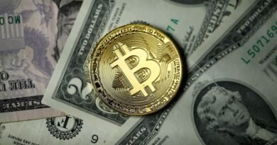 Bitcoin recua com perdas em ativos de risco e previsão de mês difícil