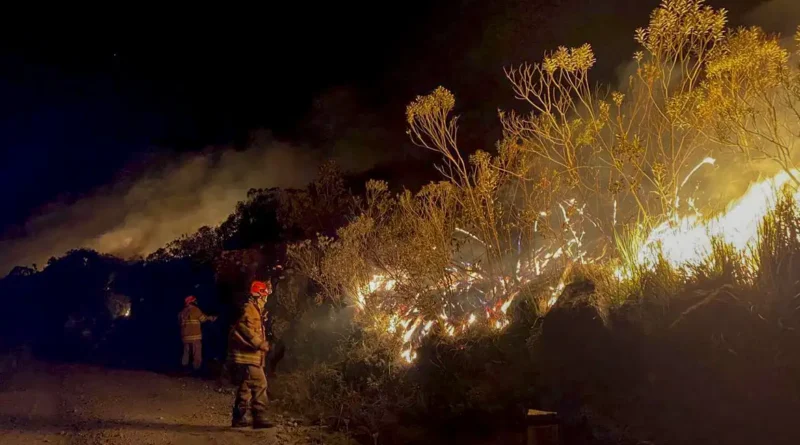 incendio parque itatiaia 160624