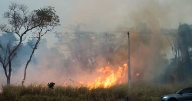 Brasil já extinguiu mais de 400 focos de incêndio, diz Marina Silva à CNN