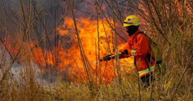 Candidatos de cidades recordistas em queimadas ignoram propostas de combate a incêndios