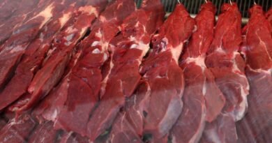 Conab vê queda de 4,3% na produção de carne bovina em 2025 com reversão do ciclo