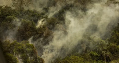 imagens aereas pantanal mcamgo abr 30062024 4 0