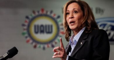 Especialista: Kamala é mais estadista do que Trump, dizem grupos focais