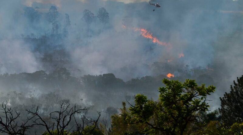 930018 incendio queimada 8