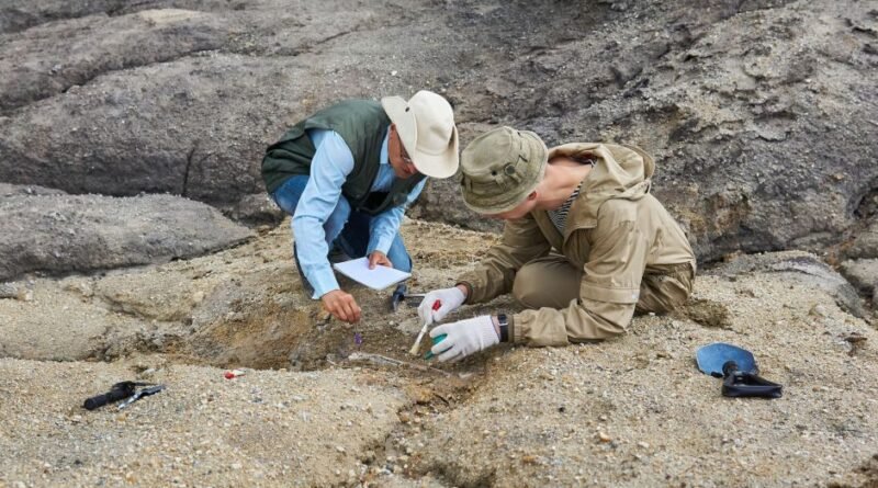 Fósseis brasileiros revelam descoberta inesperada sobre evolução dos mamíferos