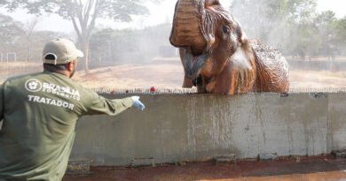 zoológico de brasília