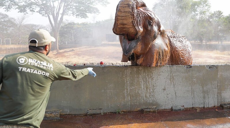 zoológico de brasília