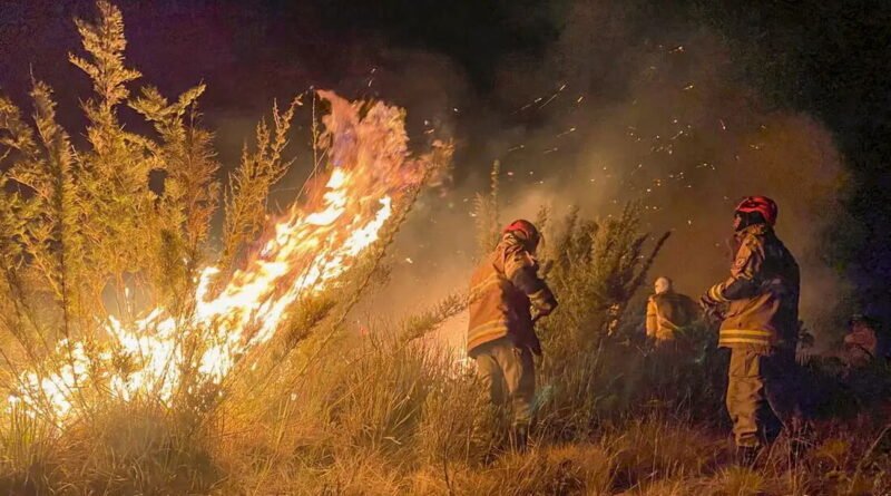 incendio parque itatiaia 2 160624