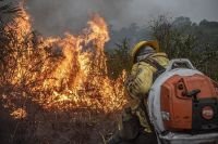 Como atuam as prefeituras no combate aos incêndios florestais e queimadas?