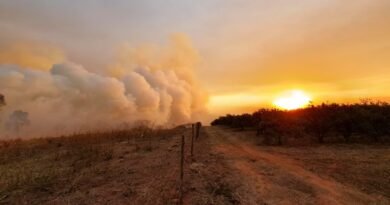 Incêndios devem ser tratados como as chuvas no RS, diz Nilto Tatto