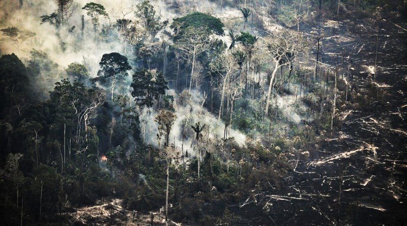 queimada amazônia peruana