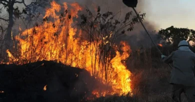 Incêndios podem ter afetado mais de 11 milhões de pessoas no Brasil