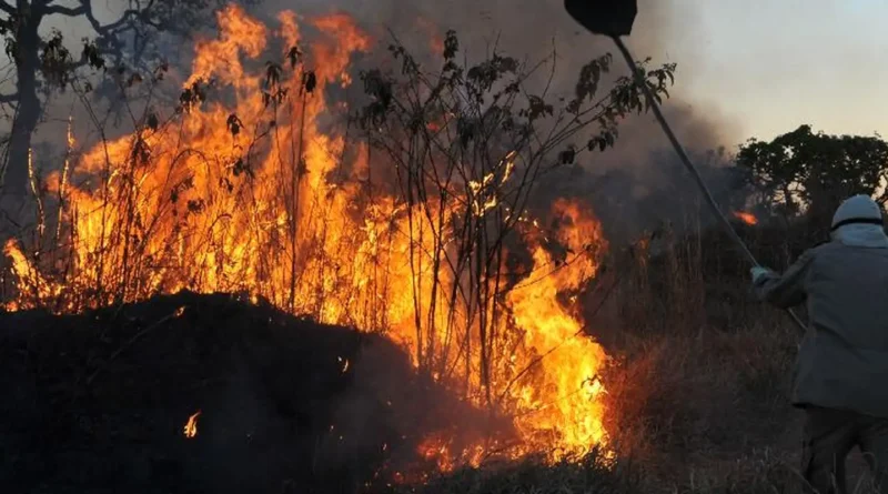 Incêndios podem ter afetado mais de 11 milhões de pessoas no Brasil