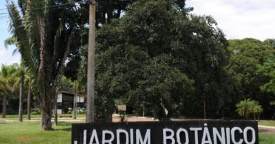 Jardim Botânico completa 20 anos com festival com música e lazer em comemoração