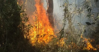 incendio divulgacao parnaso