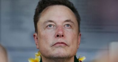 Musk chama o governo australiano de “fascista“ após nova lei sobre desinformação