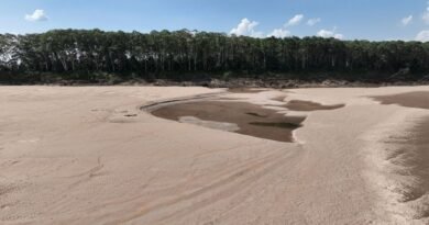 Nível do Rio Madeira atinge menos de 1 metro pela primeira vez na história