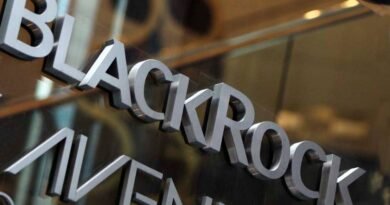 O banho de água fria da BlackRock nos investidores...