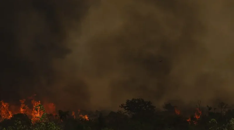 incendio parque nacionall mcamgo abr 16092024 5