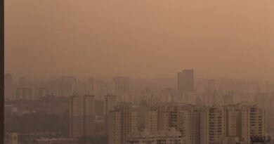 Risco elevado para incêndios em SP é ampliado até sábado, com temperaturas de até 39ºC