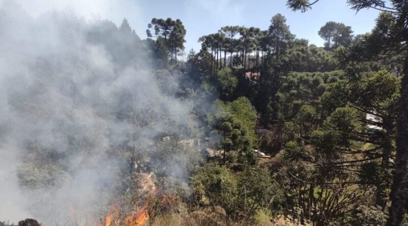 incendios sp