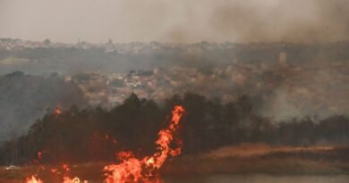 SP continua com oito focos ativos de incêndio; veja em quais cidades