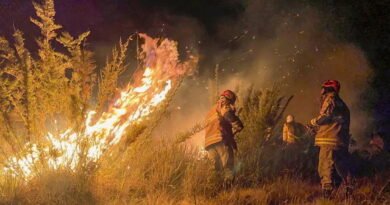 incendio parque itatiaia 2 160624