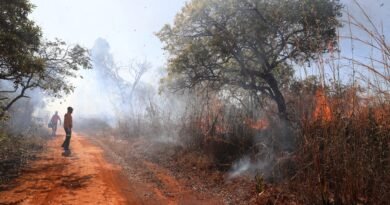 foto paulo h. carvalho incendio florestal