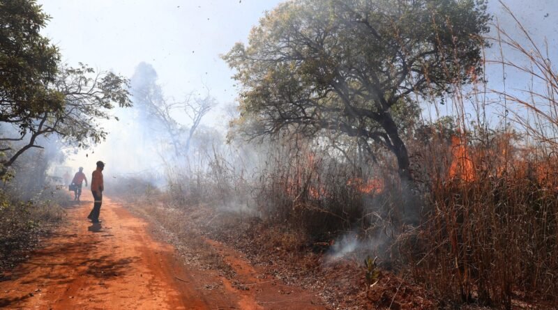 foto paulo h. carvalho incendio florestal