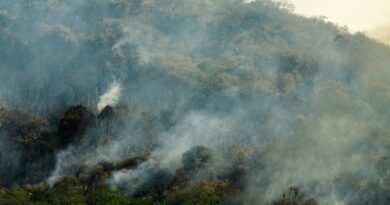 brazil forest fire rio de janeiro