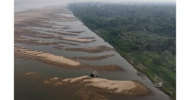 brasil dia da amazonia amazonas amazonia 1725550072