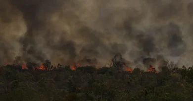 incendio parque nacionall mcamgo abr 16092024 3