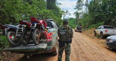 pf incra ibama e pm combatem invasao de terras publicas