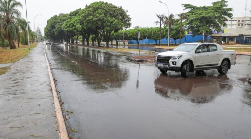 avenida das mangueiras