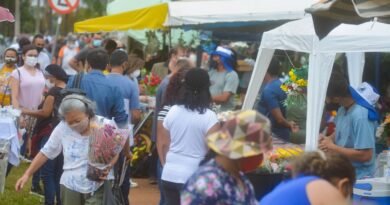 Dia de Finados: Venda de flores e velas no Distrito Federal deve aumentar 5,6%