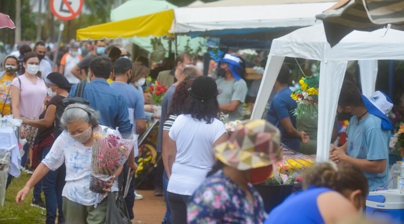 Dia de Finados: Venda de flores e velas no Distrito Federal deve aumentar 5,6%