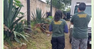 fiscalização ambiental