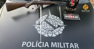 pmdf apreende arma de fogo