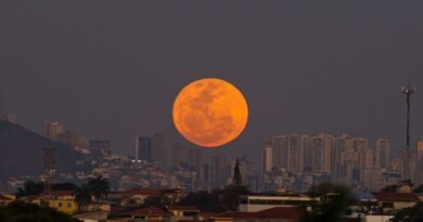 Maior Superlua do ano aparece no céu nesta quinta (17); saiba mais