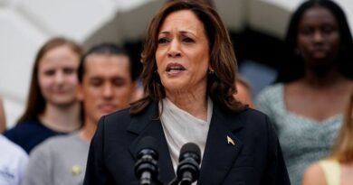 Relembre a atuação de Kamala Harris como vice-presidente dos EUA