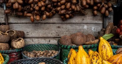 Alimentação de baixo carbono na COP30 é foco de experiência gastronômica