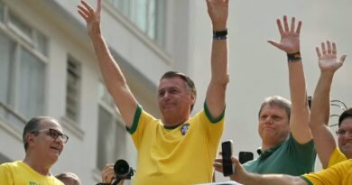 brazil politics independence day bolsonaro