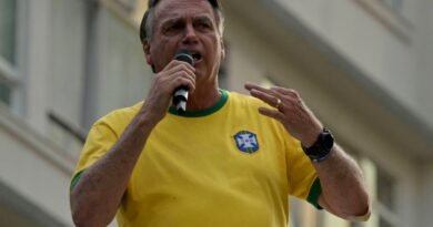 brazil politics independence day bolsonaro