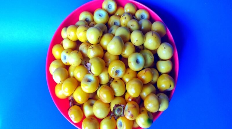 Frutas nanches amarelas em uma tigela vermelha com fundo azul - Metrópoles