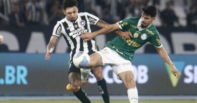 Enquete: o Botafogo vai perder o Brasileirão de novo? Vote!