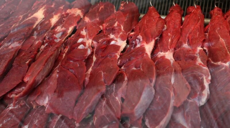 Redução modesta de produção de carne já reverte mudanças climáticas, diz estudo